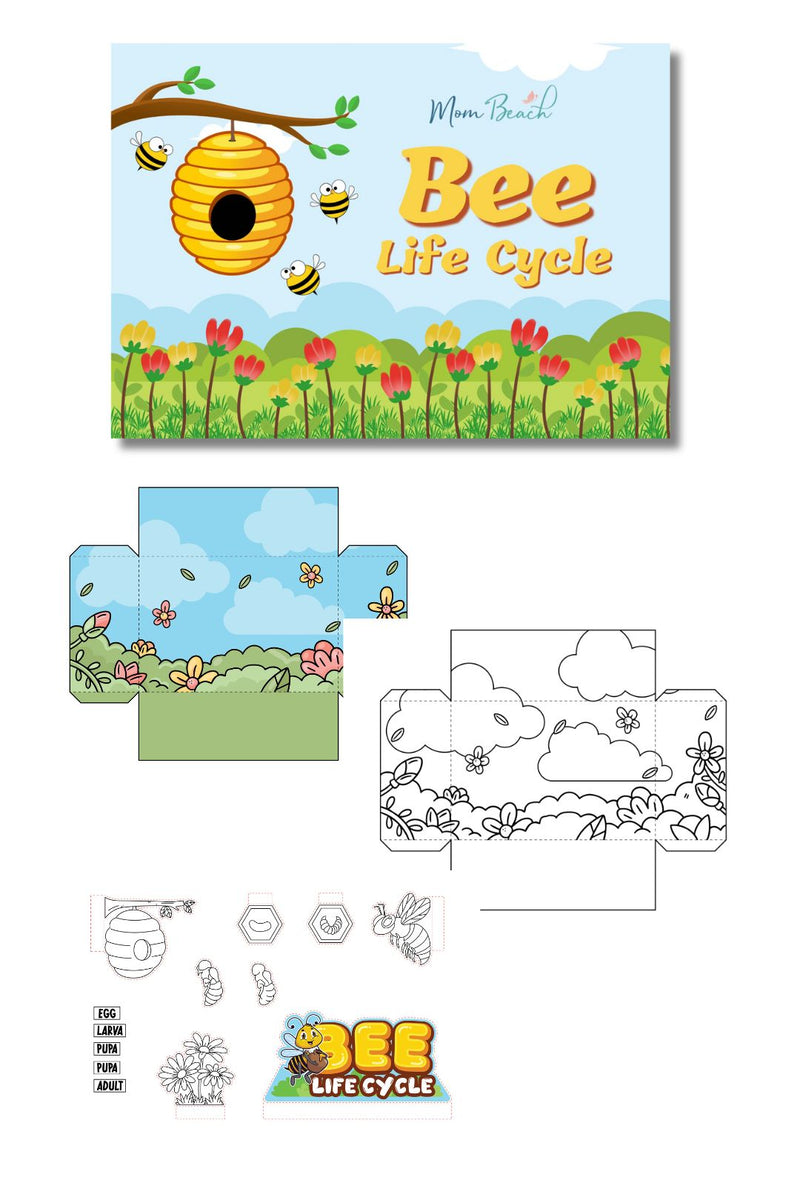 Bee Life Cycle Kid's Diorama Printable (3 Pages)