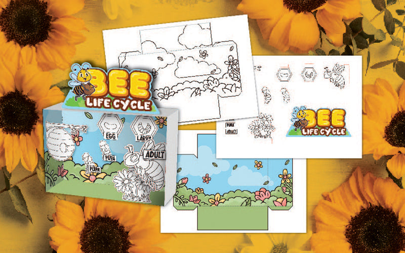 Bee Life Cycle Kid's Diorama Printable (3 Pages)